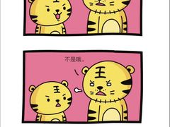 -大康水上乐园