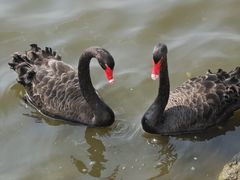 -长春市南湖公园