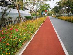 -前小桔亲子创意农场·草莓采摘·露营烧烤