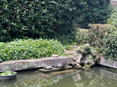 -宁波市保国寺古建筑博物馆