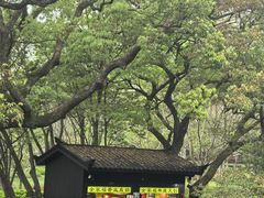 -普陀山风景名胜区-法雨禅寺