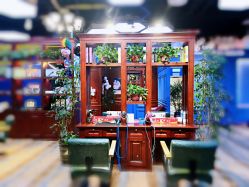 -东晨宝格丽品质造型