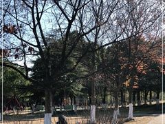 -白塘生态植物园
