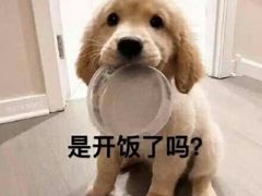 -1369冰火锅(木北路店)