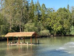 -溱湖国家湿地公园