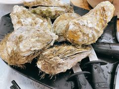 至尊桑拿蚝-天宝食坊·啫啫煲大排档(西华路店)