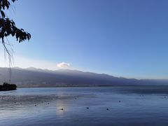 -野菌皇海景野生菌火锅(滨海大道店)
