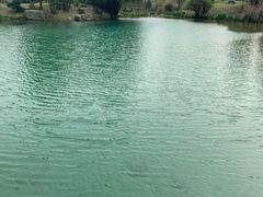 -黄公望隐居地