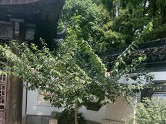 -上海醉白池公园