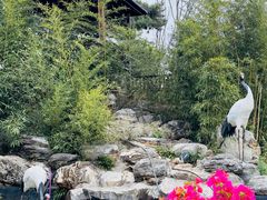 -丽泽山庄·生态怀柔菜·虹鳟鱼(红螺寺店)