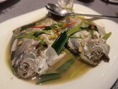潮州冻乌鱼-金成潮菜博物馆(海珠湿地店)