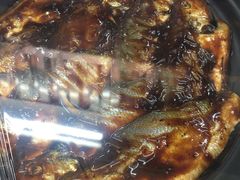 -食家鸽园