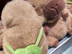 -酷乐潮玩(大悦城店)