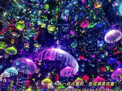 -上海外滩星空艺术馆