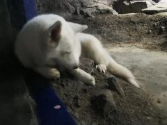 -临沂极地海洋王国