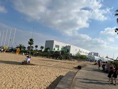 -碧海金沙