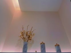 -美丽田园Beauty Farm