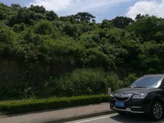 -平湖九龙山旅游度假区