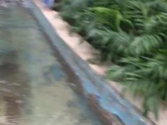 巧渡通天河-南宫五洲植物乐园