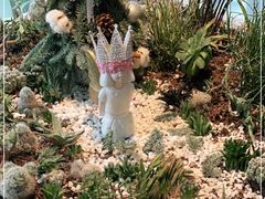 -春树下·树屋花房西餐厅(罍街AS1980店)