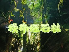 -梭布垭石林景区