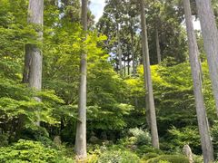 -三千院