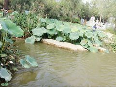 -武清南湖绿博园