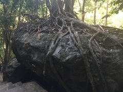 -七仙岭温泉国家森林公园