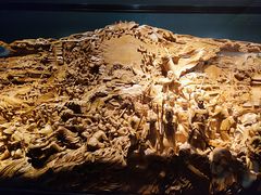 -上海市龙华烈士陵园