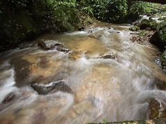 -莫里热带雨林景区