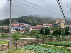 -军营村