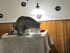 -隅cafe(傅厚岗店)