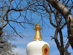 -护国法轮寺