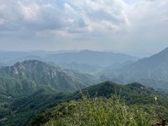 -大岭沟猕猴桃谷风景区