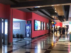 -万达影城(锦华万达广场IMAX店)