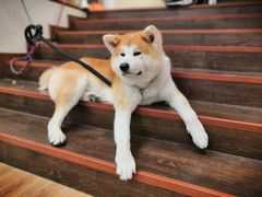 -YCHL Studios健身工作室(市二宫店)