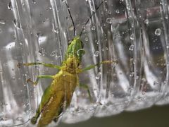 -陶祖圣境风景区