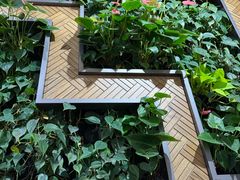 -Peet's Coffee皮爷咖啡(豫园店)