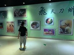 -上海昆虫博物馆