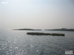 -新木器时代餐厅(太湖新天地店)