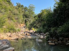 -广州白江湖森林公园