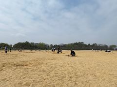 -瑶湖郊野森林公园