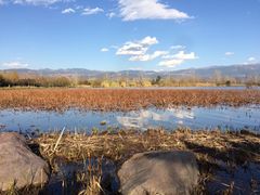 -西昌邛海湿地