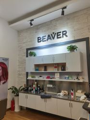 -798·beaver海狸荟