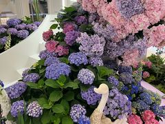 -天河城购物中心