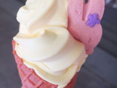 -麦当劳(新王府井店)