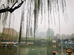 -团结湖公园