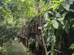 -呀路古热带植物园
