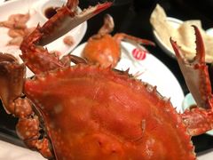 -开海·红岛海鲜虾水饺(石老人店)