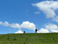 -新疆那拉提国家旅游度假区